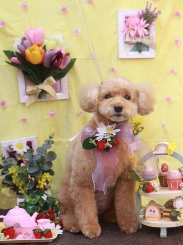 20230302モンチちゃん